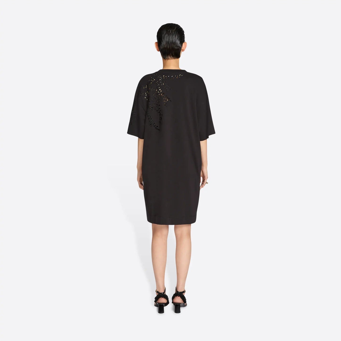 Embroidered Dress