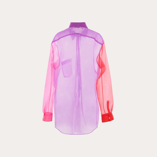 Sheer Shirt