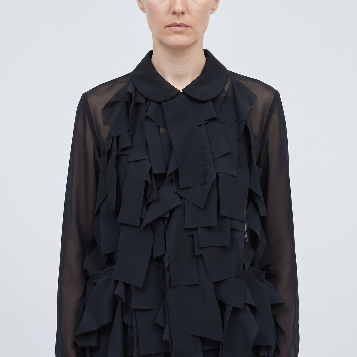 Sheer Ribbon Applique Blouse