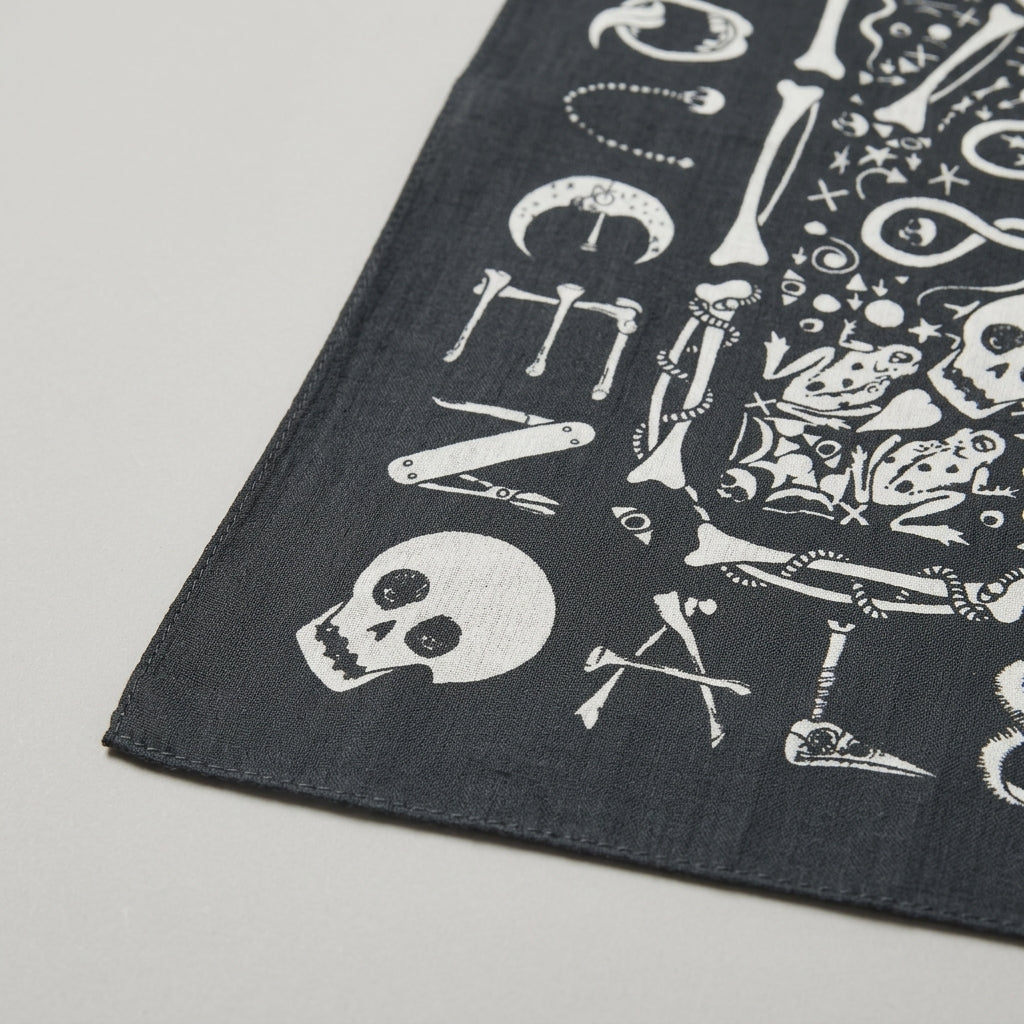 ALEXANDER MCQUEEN Gothic Skull Print Silk Scarf - view 5