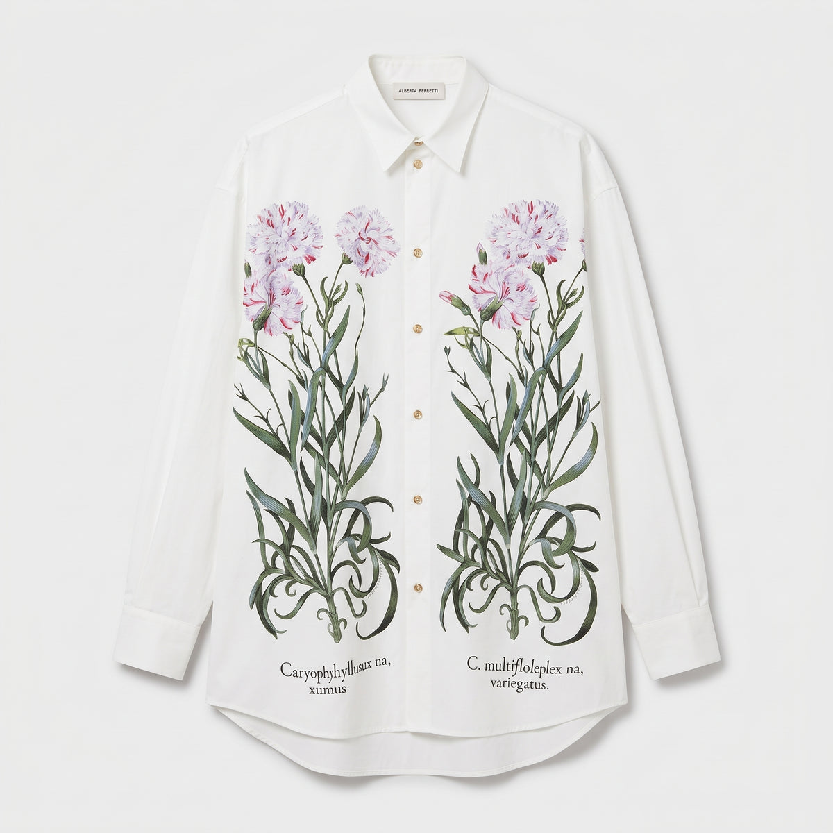 ALBERTA FERRETTI Floral Botanical Printed Blouse