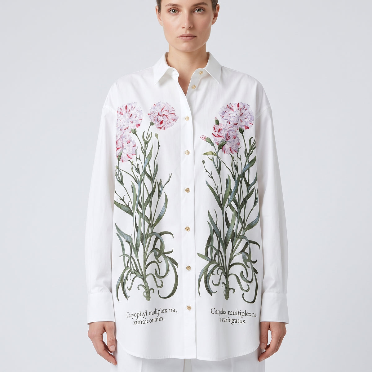 ALBERTA FERRETTI Floral Botanical Printed Blouse - view 2