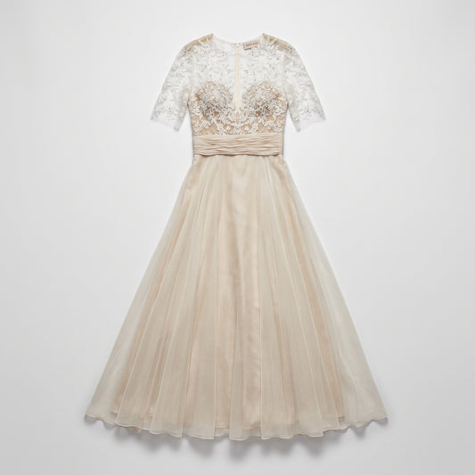 Elegant Lace Tulle Evening Dress